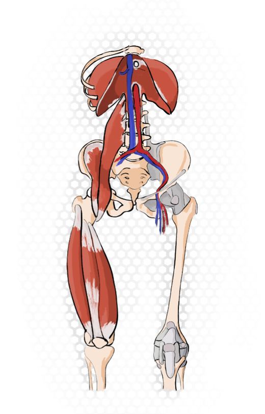 Illustration osteopathischer Behandlung im Bereich Kopf und Nacken